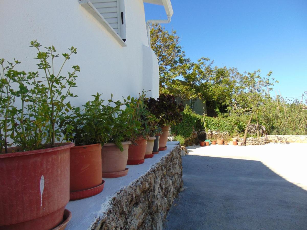 Bed and Breakfast Zante Hideaway II Nearby Shipwreck Ano Volimes Exterior foto