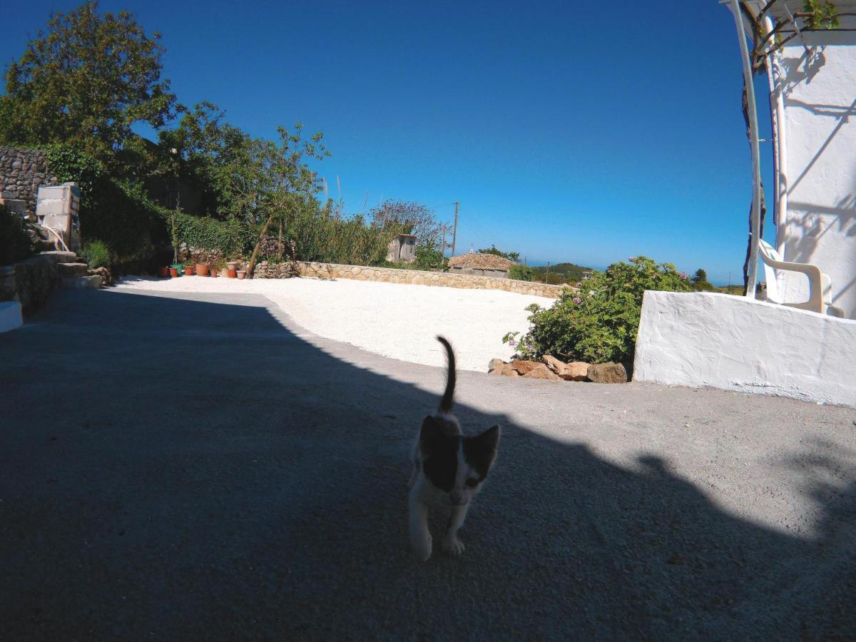 Bed and Breakfast Zante Hideaway II Nearby Shipwreck Ano Volimes Exterior foto